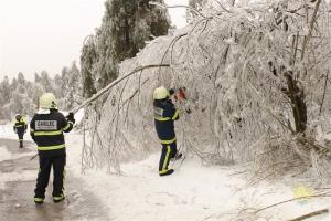Na pomoč v Postojno 1